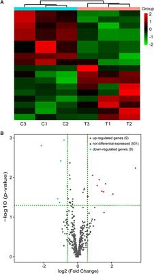 Comprehensive analysis of differentially expressed miRNAs in mice with kidney injury induced by chronic intermittent hypoxia